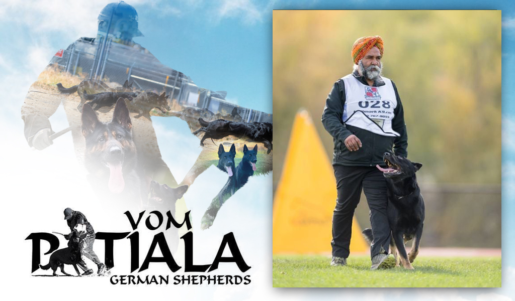 patiala_web4
